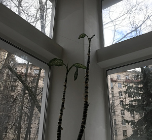 Пырьева ул, д 2 стр 1, Москва Здание целиком 3639.0  Аренда