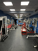 Кутузовский пр-кт, д 23 корп 1, Москва Подвал 235.8  Продажа