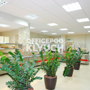 Бизнес-центр "West Plaza"