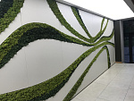 Бизнес-парк "Smart-park"