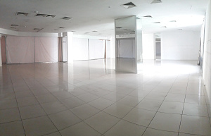 Торгово-деловой центр "Аркадия" 3 979.0  Аренда